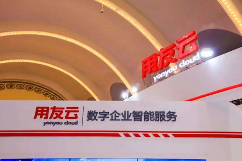 大爆發(fā) erp的國產(chǎn)化替代